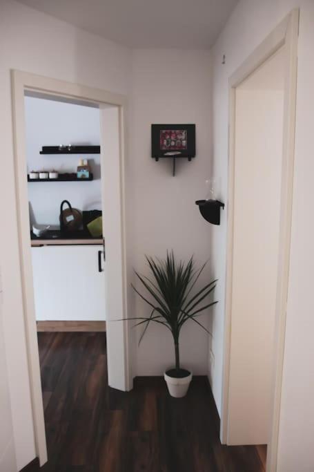 Schoene Wohnung Top Lage Koeln Work & Relax & Travel Frechen Eksteriør bilde